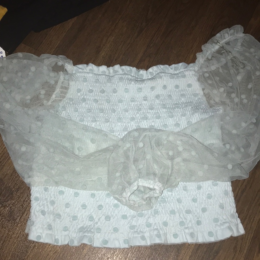 Light blue mesh sleeve top